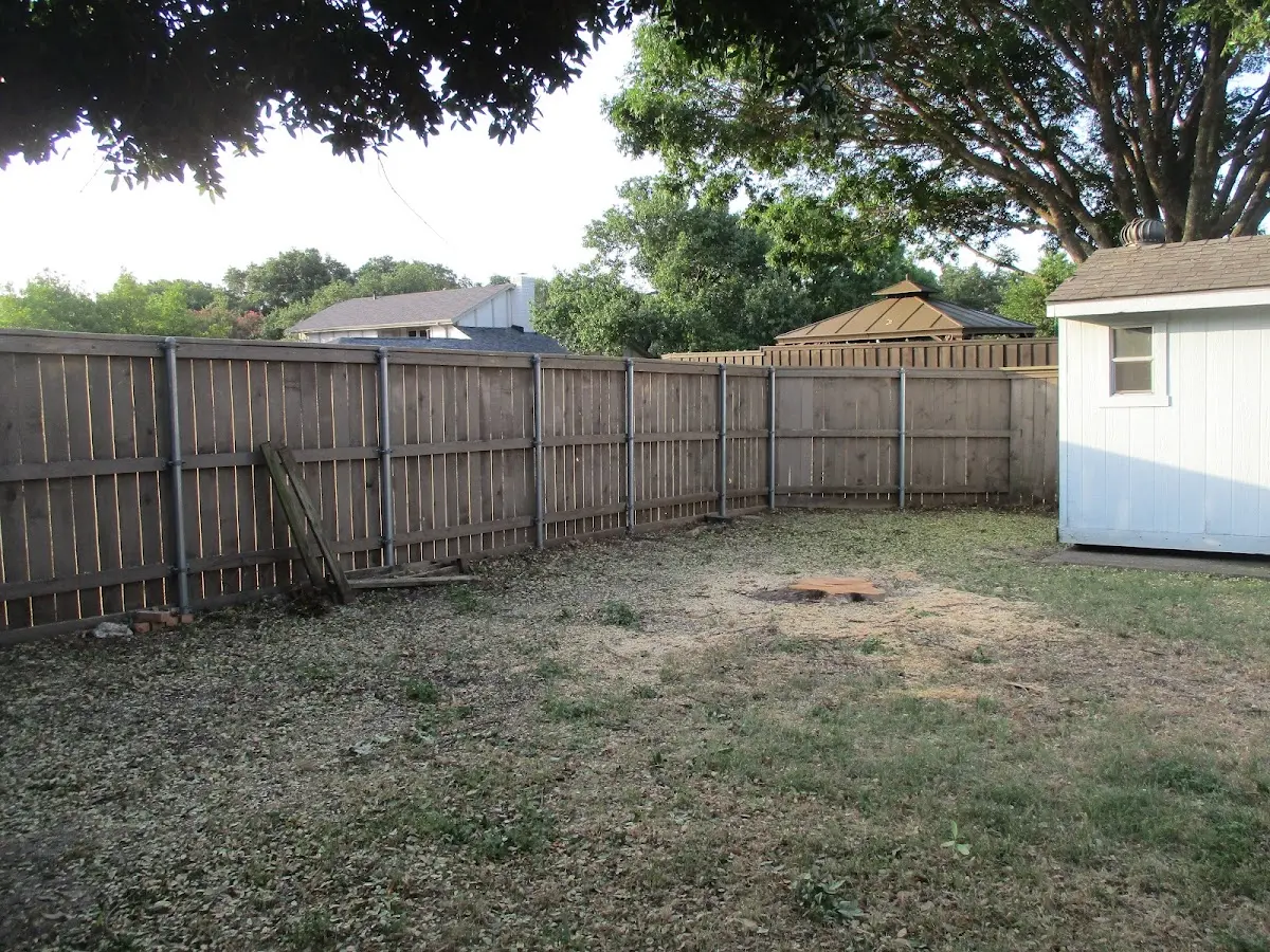Cleared yard after professional tree removal in Shohola